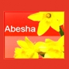 RS habesha's picture