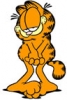 whiz's picture